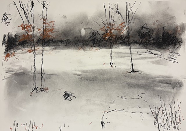 260120 January 20, 2026 conte on 18x24" Bee Super Deluxe Mixed Mexia 90 lb.