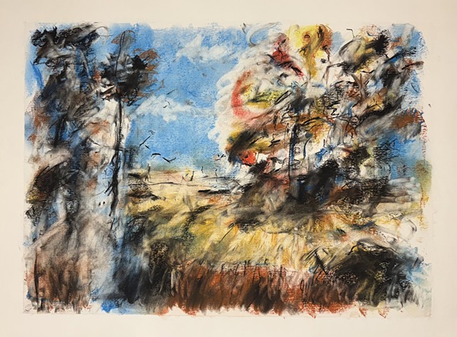 251102 November 2, 2025 conte on 18x24 Bee paper