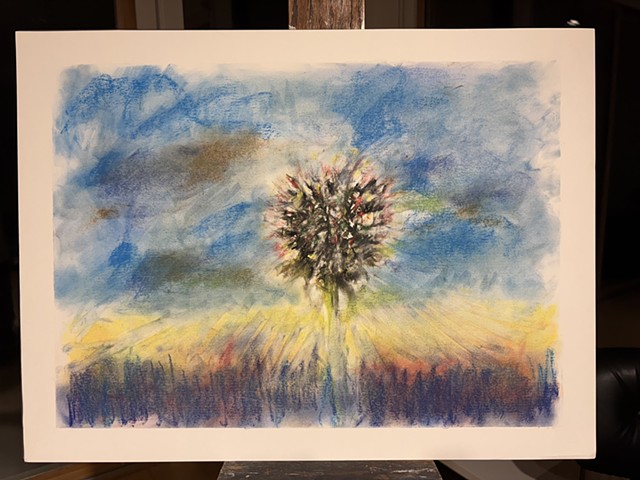 251107 November 7, 2025 conte crayon on 18x24 Bee paper