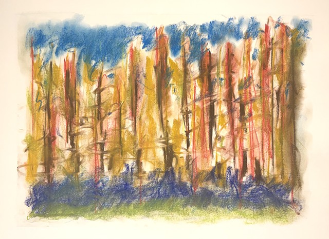 260628 June 28, 2026 conte on 18x24 paper