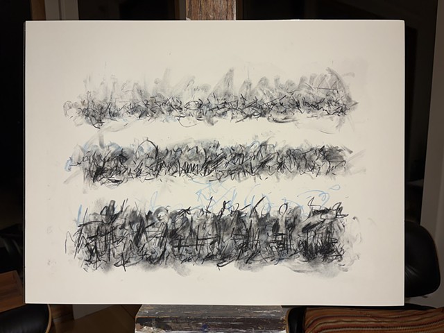 260405 April 5, 2026 conte on 18x24" Bee