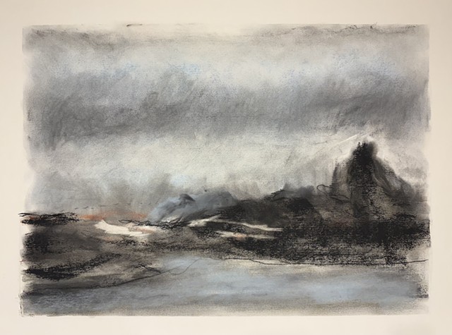 260317 March 17, 2026 conte on 18x24" Bee paper