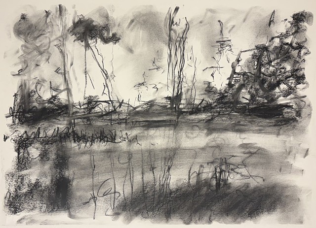 260106 January 6, 2026 conte 18x24