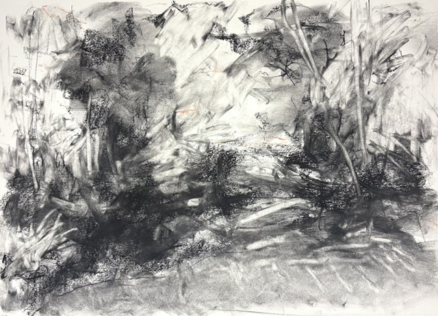 260522 May 22, 2026 conte on 18x24" Bee paper
