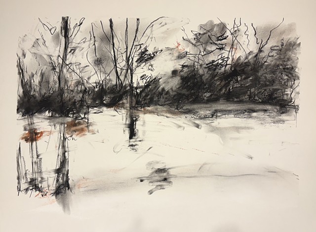 260407 April 7, 2026 conte on 18x24 Bee