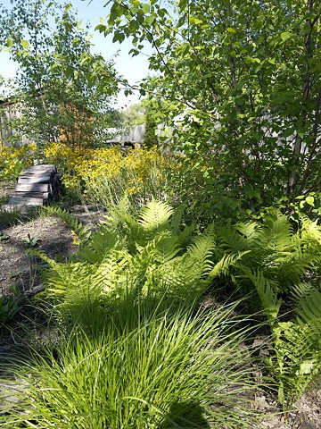Spring, Year 2