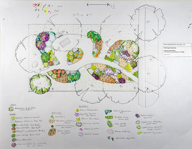 Final Design: tree, shrub, perennial layer