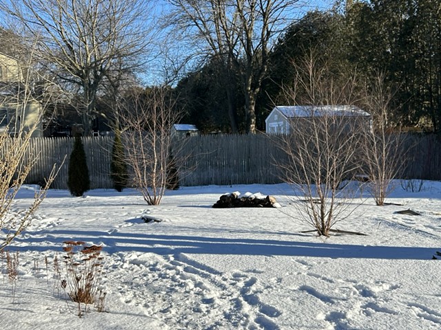 Second Winter, ('24 - '25)
