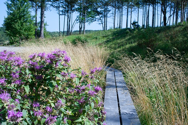 Charlotte Edge Habitat
