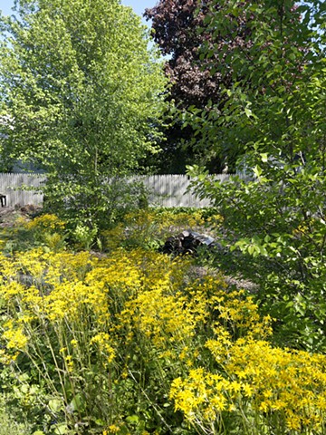 Spring, Year 2