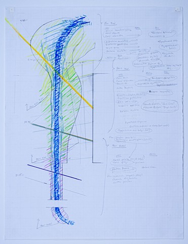 Site Analysis and Plant Selection Drawing