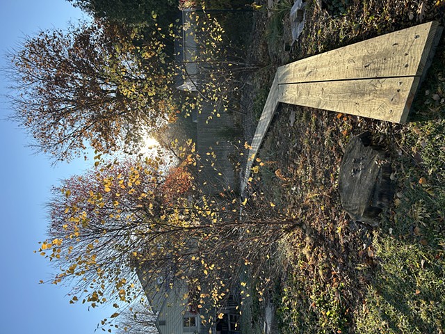 Fall with boardwalk, year 2-3