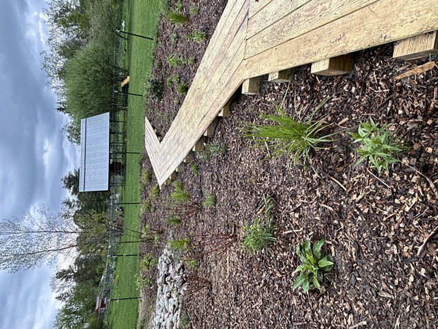 Rain Garden at Planting, May 2024