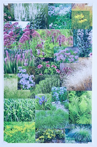 Plant Mood Board