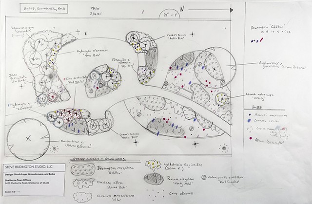 Final Design: graminoids, groundcovers, bulbs