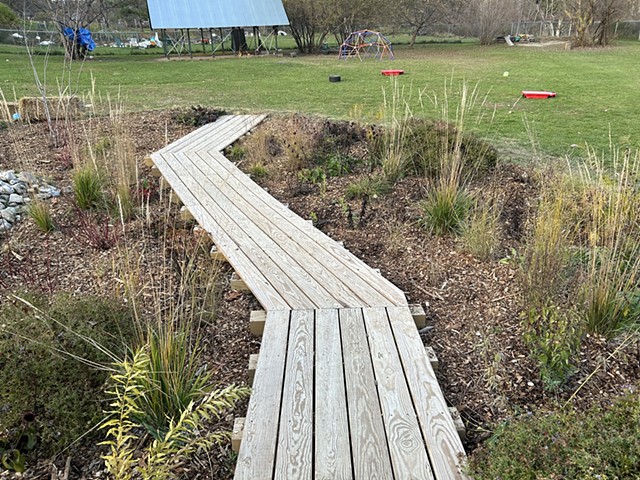 Rain Garden, First Season, November