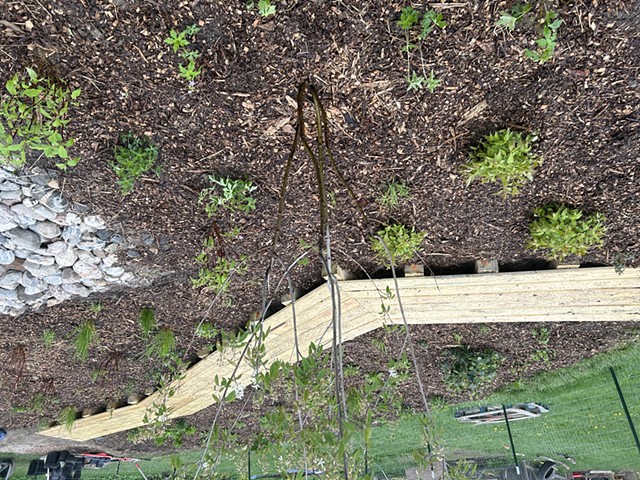 Rain Garden at Planting, May 2024