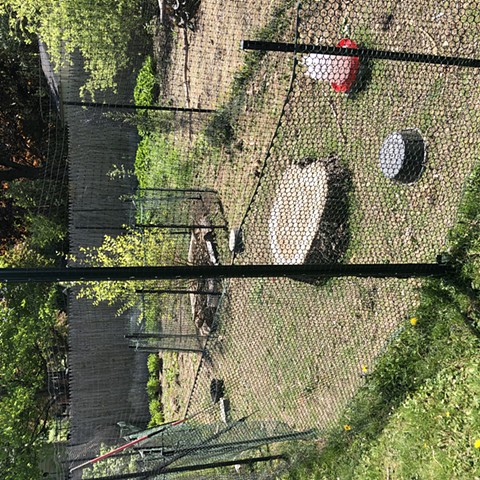 Degraded Turf areas