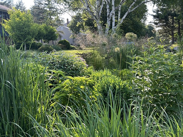 Landscape Design