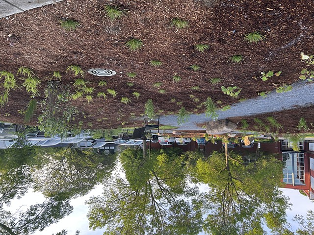 Park after Planting, Late May 2025