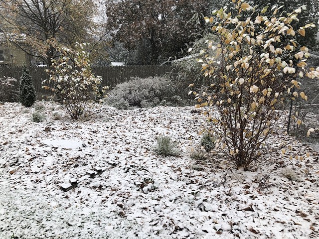 Winter '23-'24