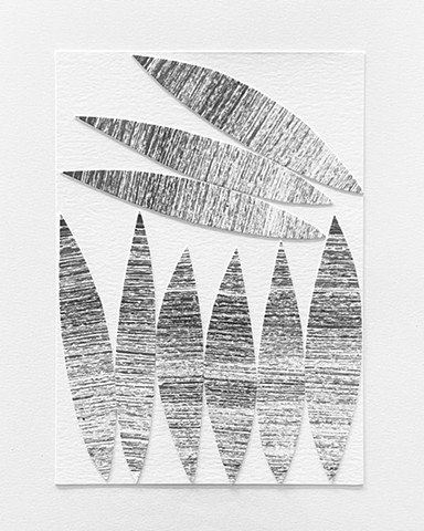 Salt (12)