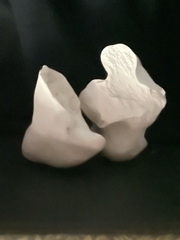 Michelle Lynn Dyrness