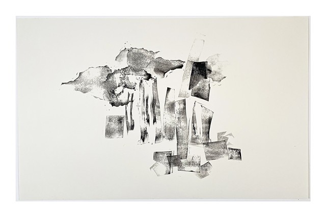 the beginnings of our winter jungle (2)