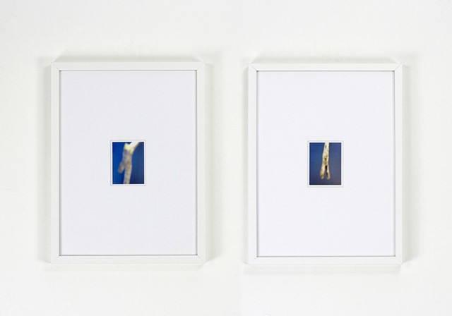 Archive: digital work