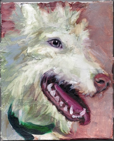 Dogtooth 10