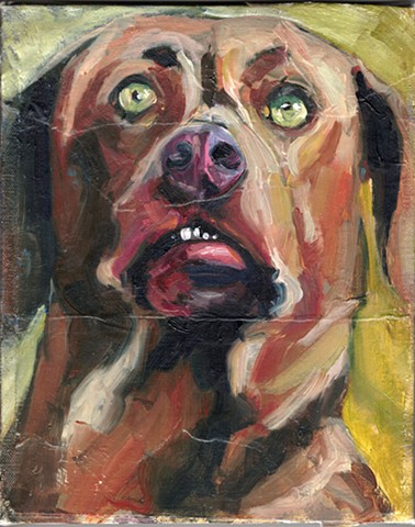 Dogtooth 4
