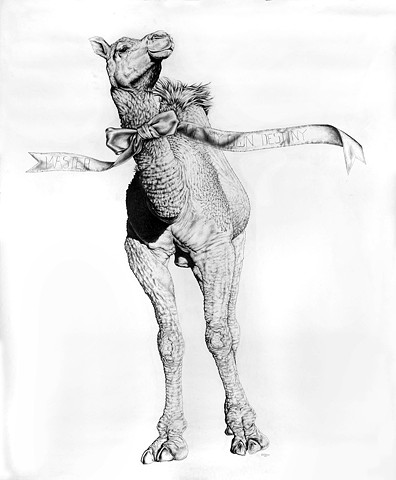 Camel