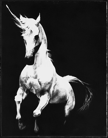 Gallop