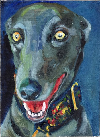 Dogtooth 16