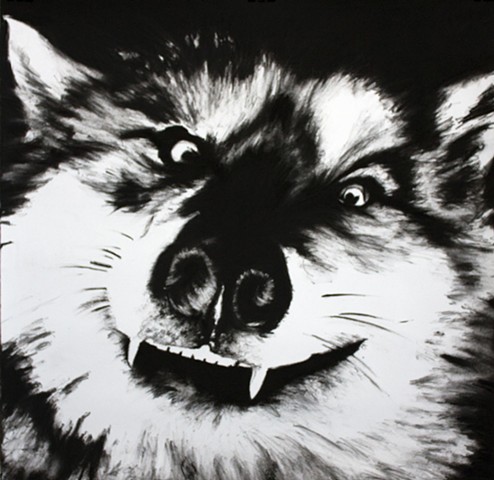 A Shadow Wolf