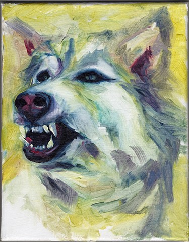 Dogtooth 2