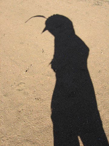 Quail (Joshua Tree Shadow)