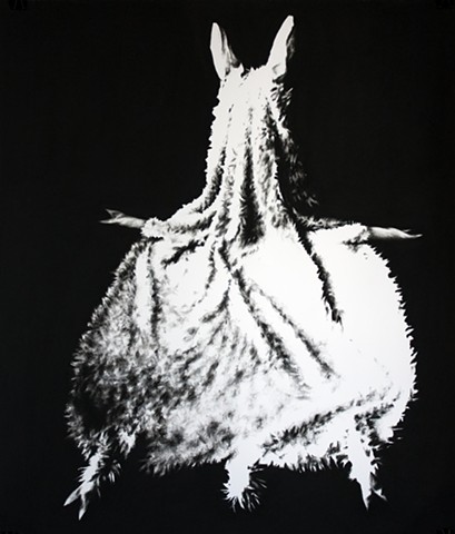 Pelt