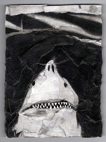 Shark Attack