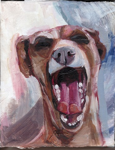 Dogtooth 9