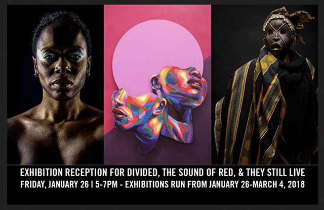 2018 - Group Exhibition, "Divided: Race and Identity in Modern America"