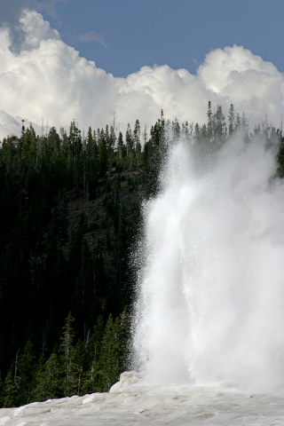 Yellowstone #8