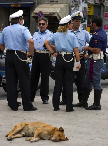 Sicilian Police & Dog