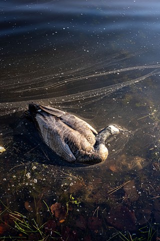 Take This To Your Grave & I'll Take It To Mine