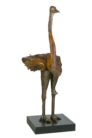 OSTRICH FRONT VIEW