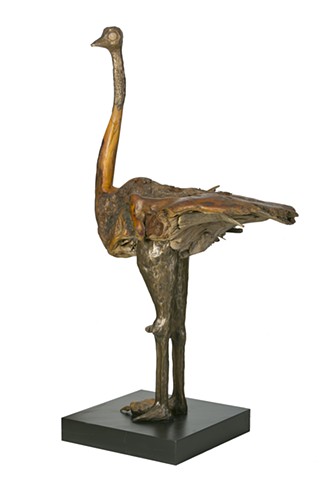 OSTRICH 