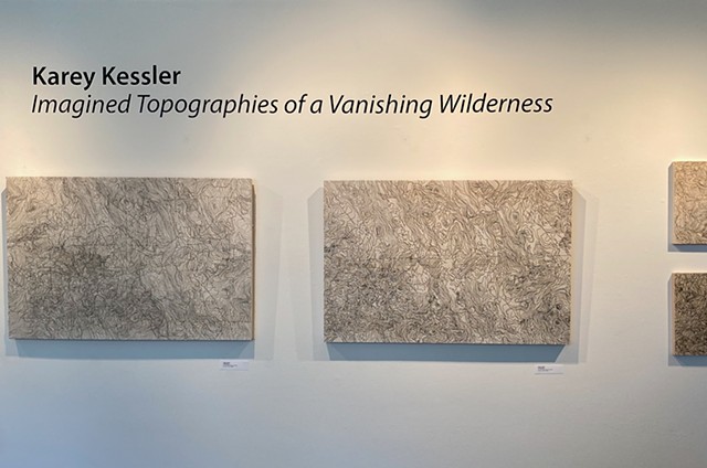 Imagined Topographies of a Vanishing Wilderness