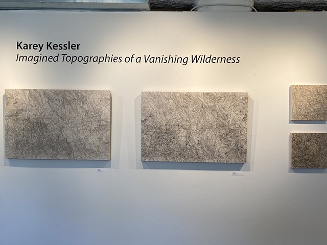 Imagined Topographies