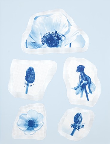 Carpenter Bee and the Poppies (After Knorr)