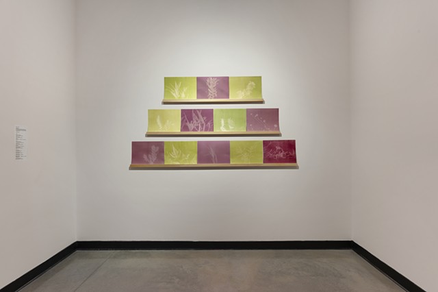 Installation view of Irreplaceable at The Frank C. Ortis Art Gallery, 2024. Photography by Zachary Balber. 